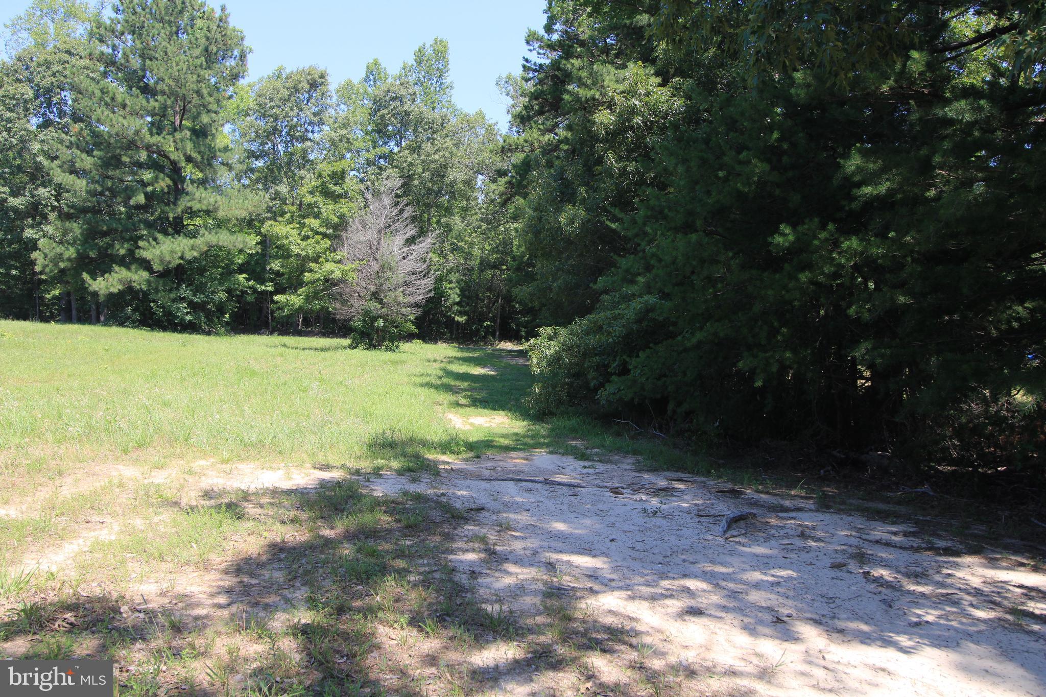 512 Mountain Hall Road Crewe, VA 23930 - Photo 31 of 50