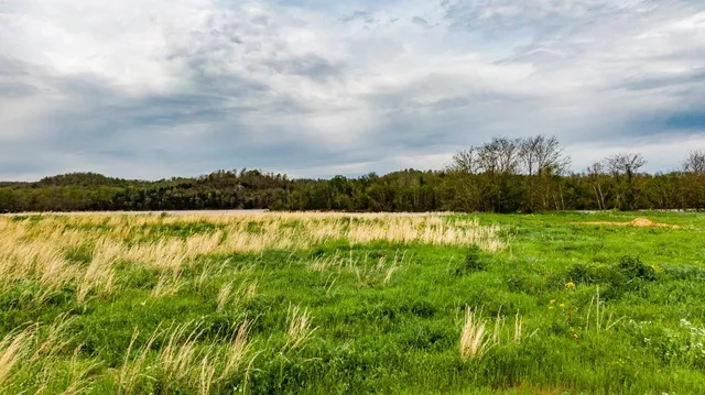 a view of lake and mountain in the back
