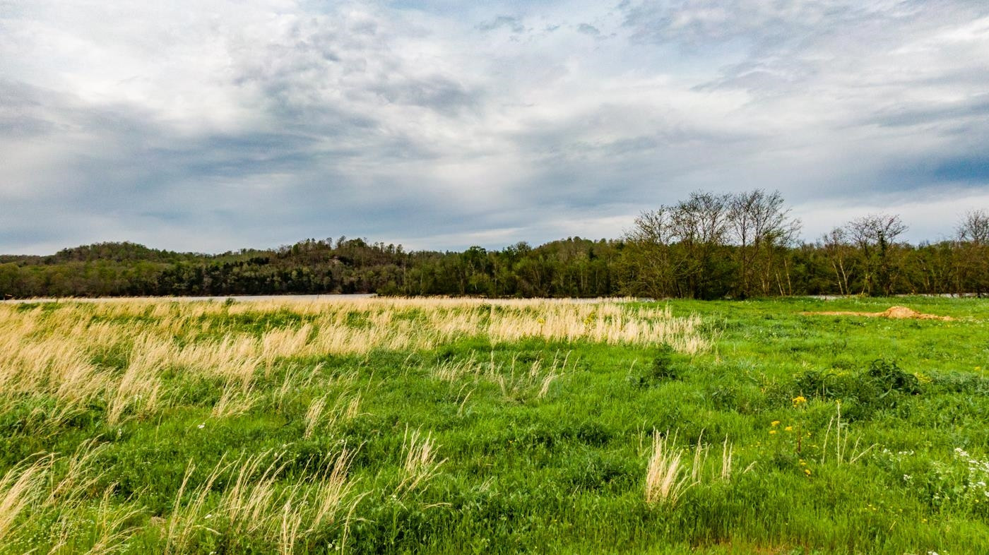 1823 Hardin Btm Road Clifton, TN 38425 - Photo 9 of 14 a view of lake and mountain in the back