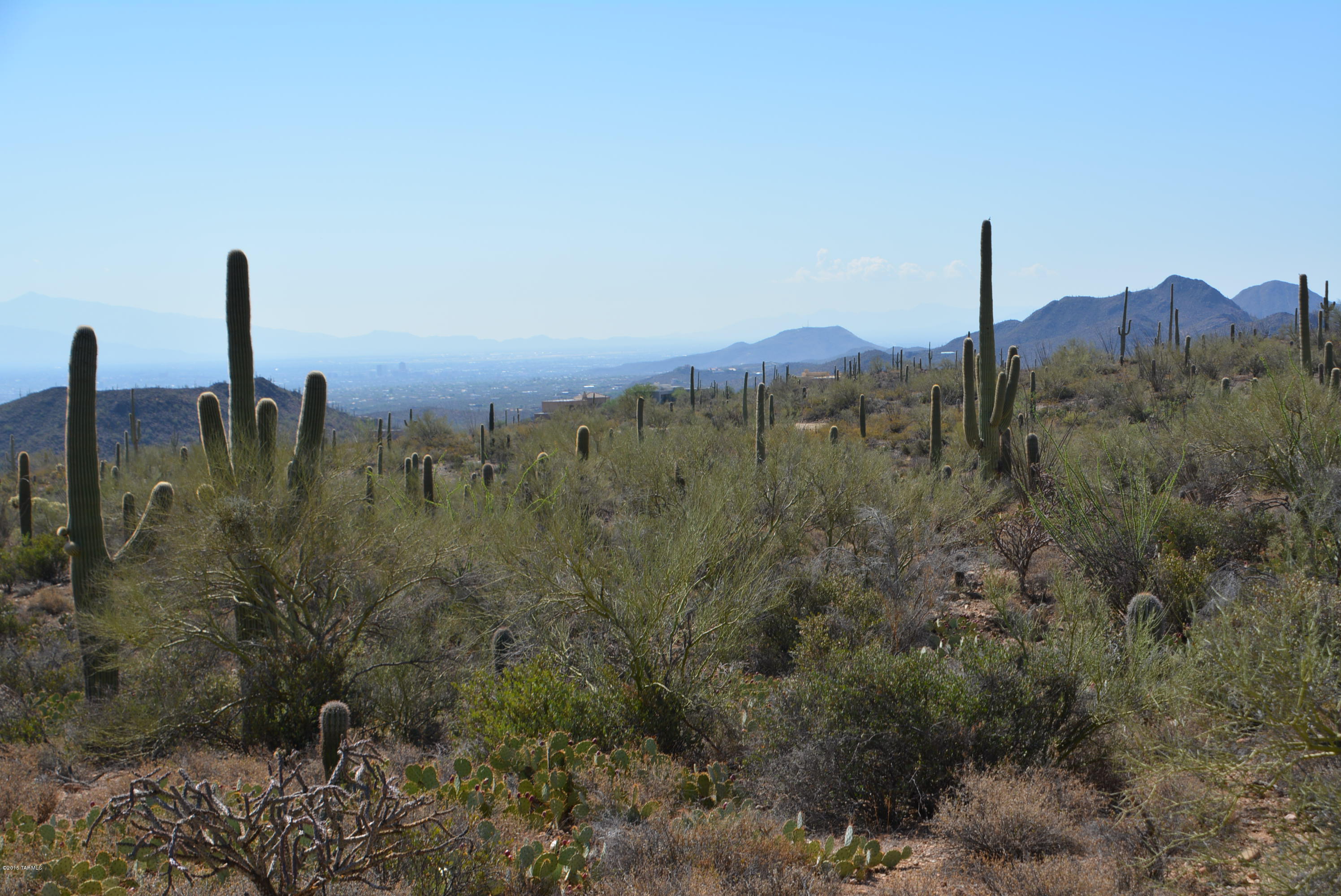 0 Broken Spring Tucson, AZ 85745 - Photo 7 of 24