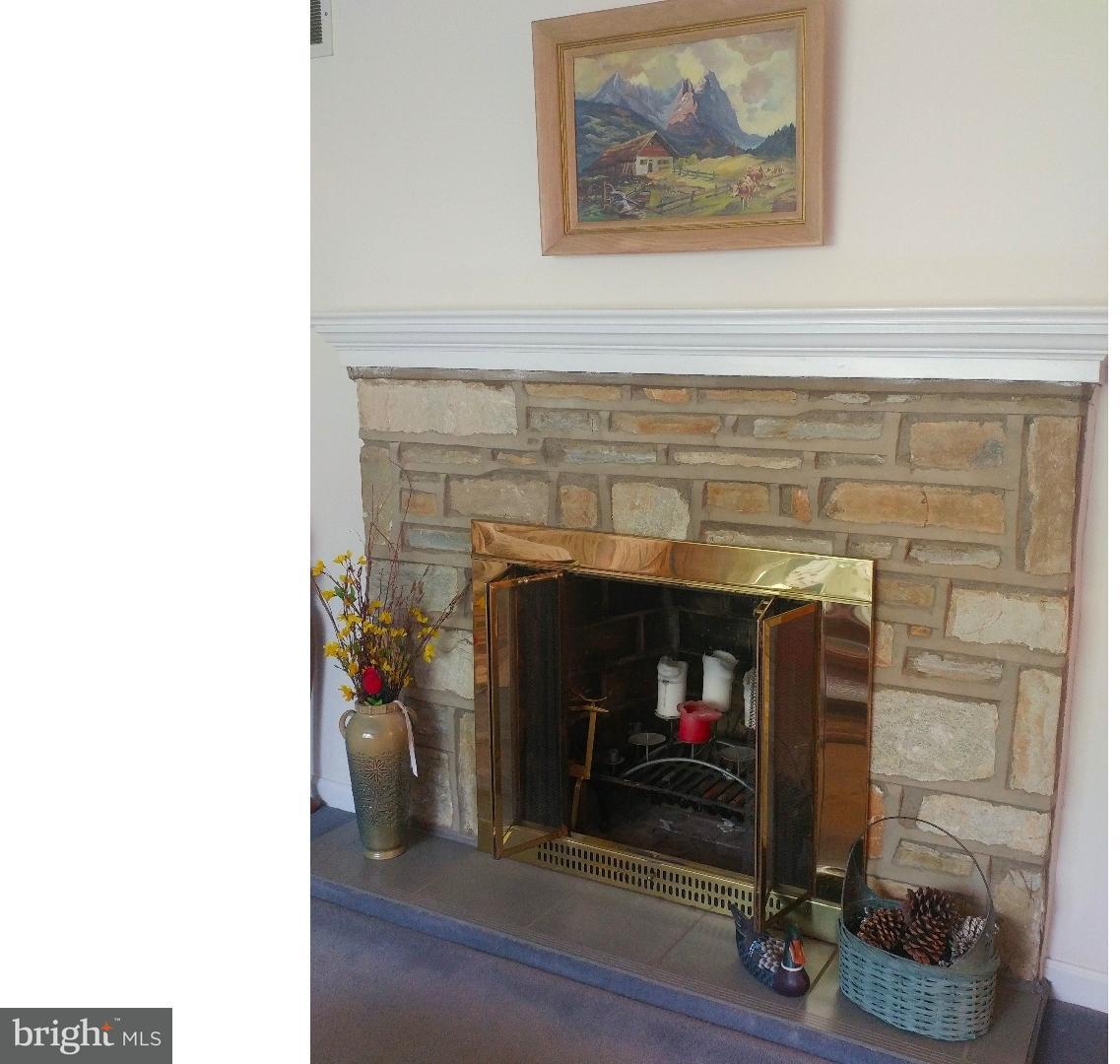 21 Elfreth Road Huntingdon Valley, PA 19006 - Photo 4 of 13 Fireplace