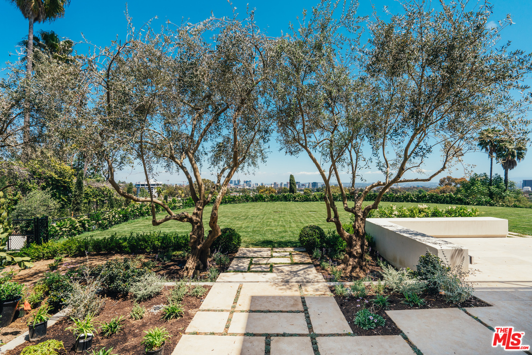 375 Fordyce Road Los Angeles, CA 90049 - Photo 2 of 26 a view of a patio with plants and a lawn chairs with plants