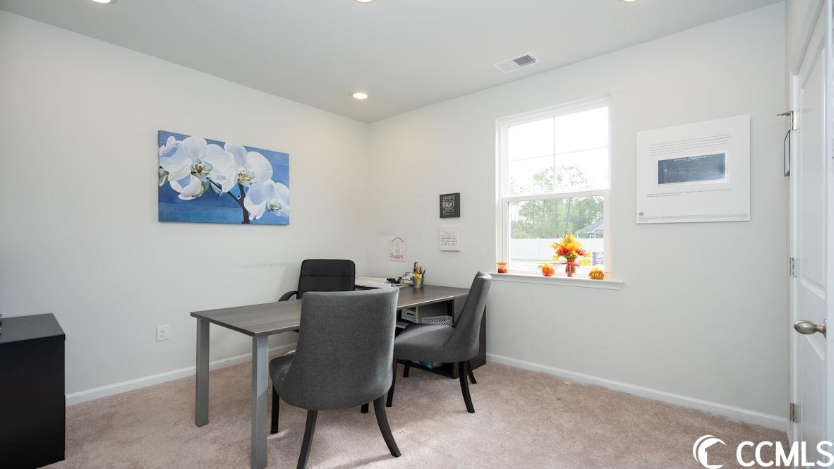 972 Corn Husk Loop Conway, SC 29527 - Photo 6 of 26