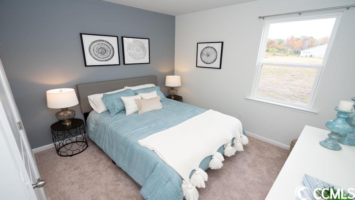 972 Corn Husk Loop Conway, SC 29527 - Photo 10 of 26