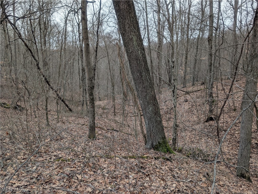 0 Tract 8 Barber Ridge Road Lewisville, OH 43754 - Photo 43 of 49 View of local wilderness