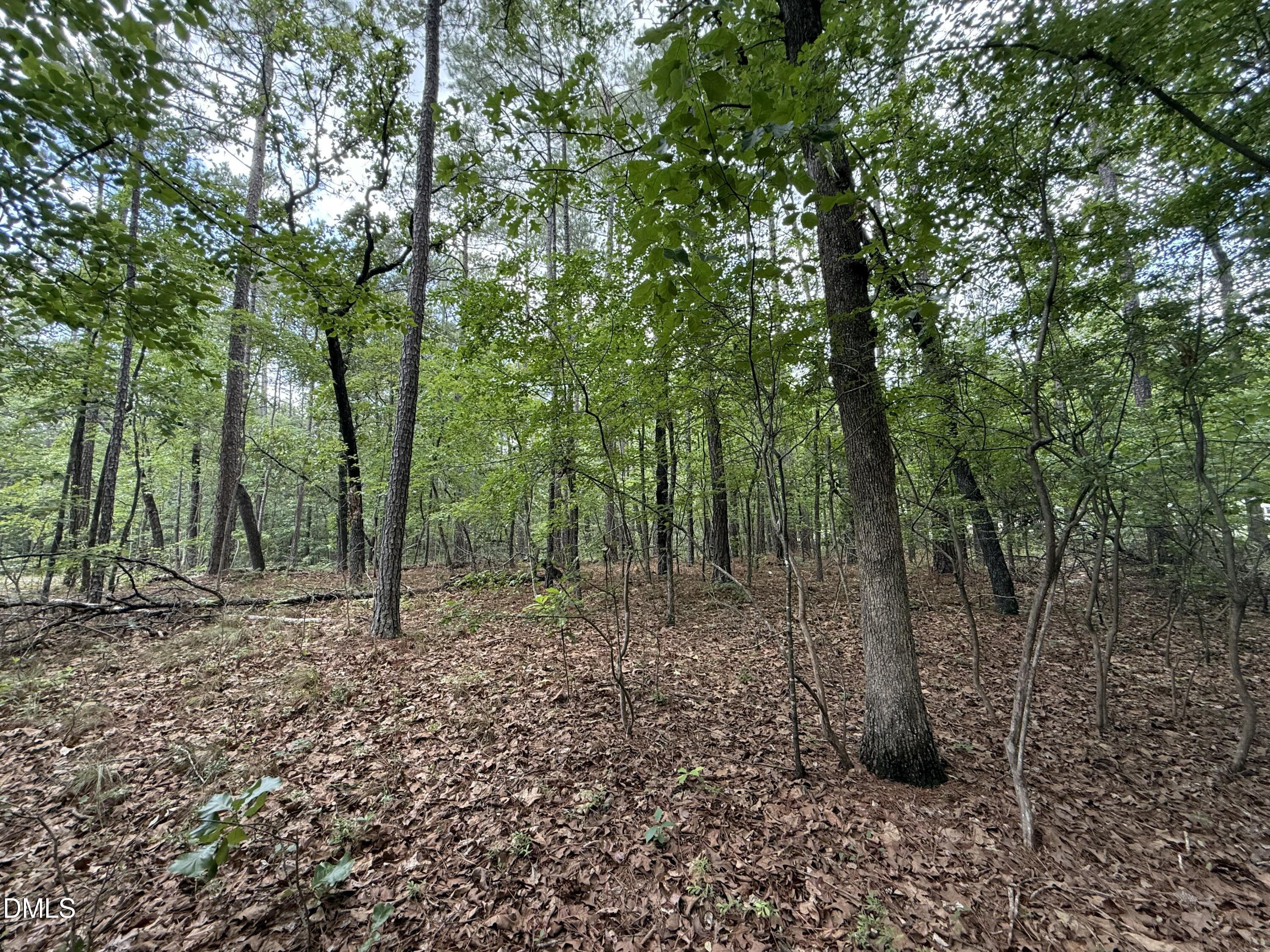 0 Elfman Drive Spring Lake, NC 28390 - Photo 14 of 40 a big yard with lots of green space and trees
