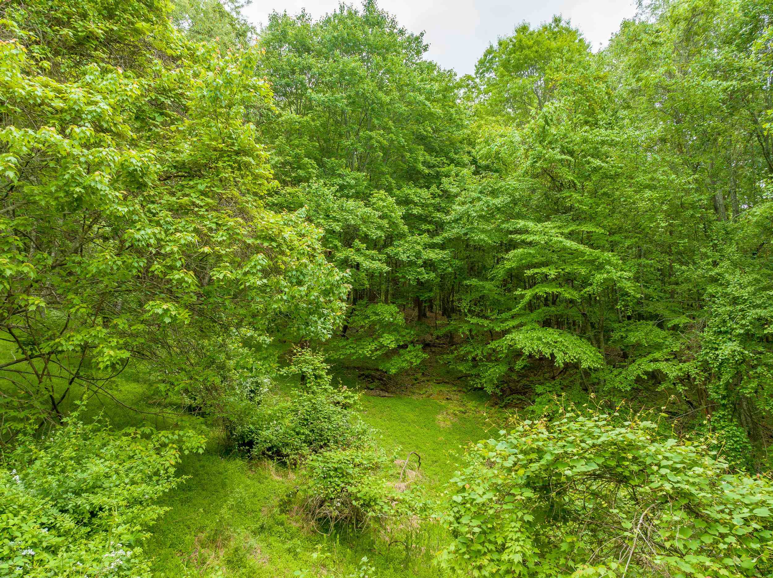 345 Apache Road Woodlawn, VA 24381 - Photo 25 of 52 Gallery Image 25