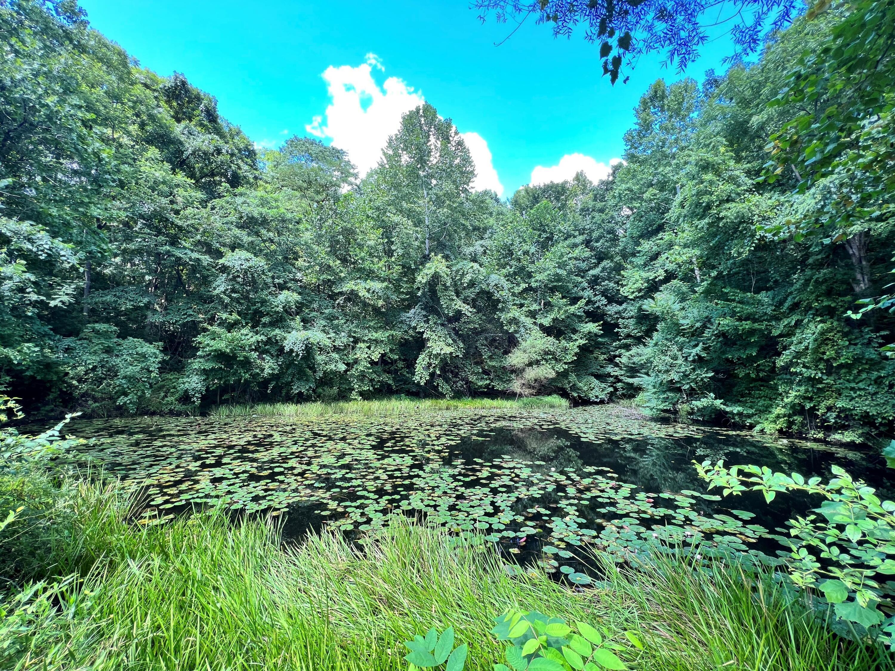 36312 Lime Bank Road Logan, OH 43138 - Photo 2 of 39 Beautiful pond