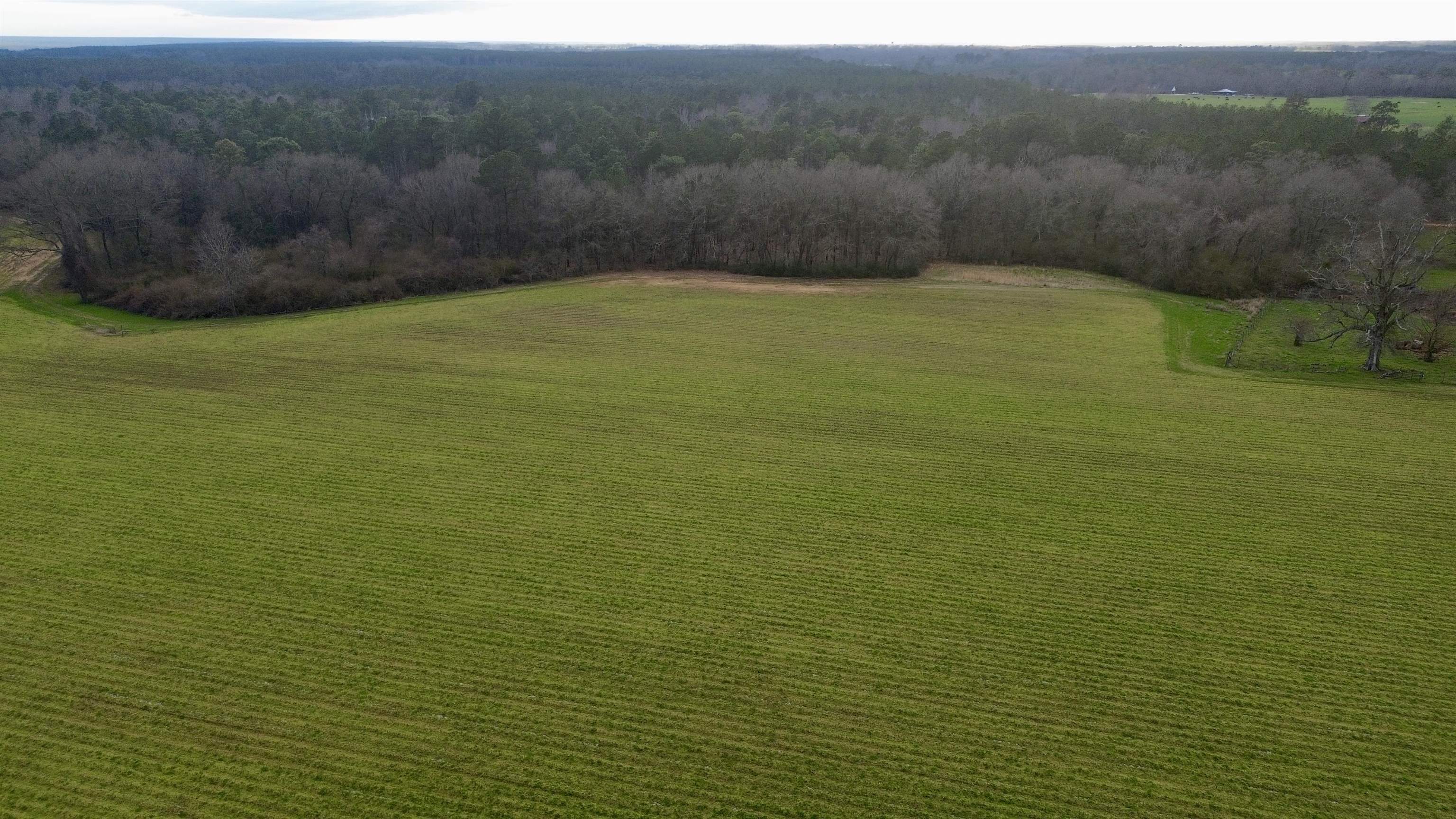 0 James Brooks Road Atmore, AL 36502 - Photo 10 of 16 Aerial View