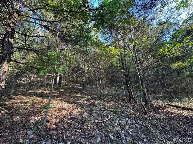 $616,000 | 0 Creek Road, Dixon, MO 65459