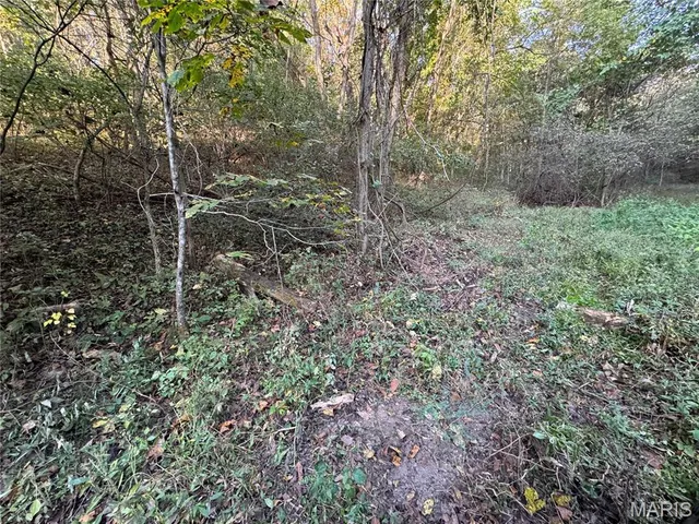 $616,000 | 0 Creek Road, Dixon, MO 65459