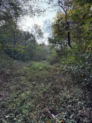 $616,000 | 0 Creek Road, Dixon, MO 65459