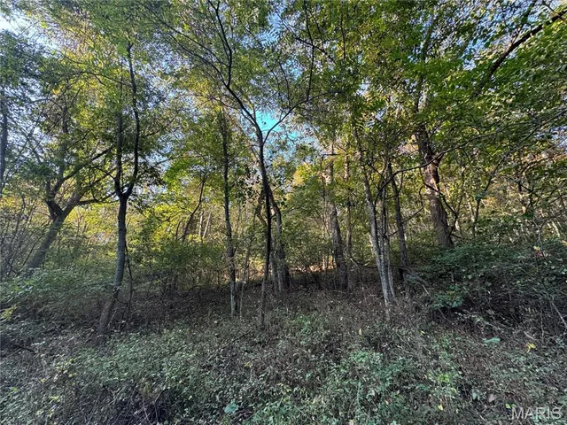 $616,000 | 0 Creek Road, Dixon, MO 65459