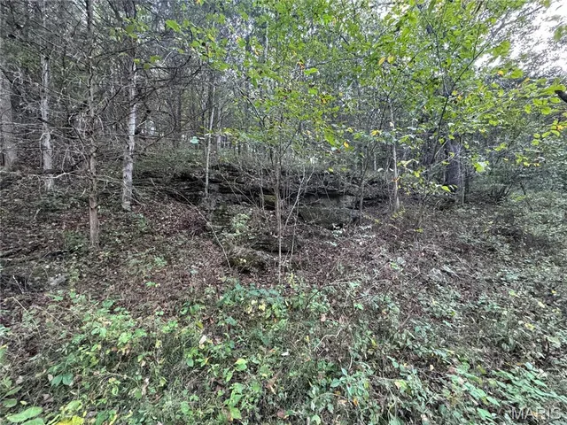 $616,000 | 0 Creek Road, Dixon, MO 65459