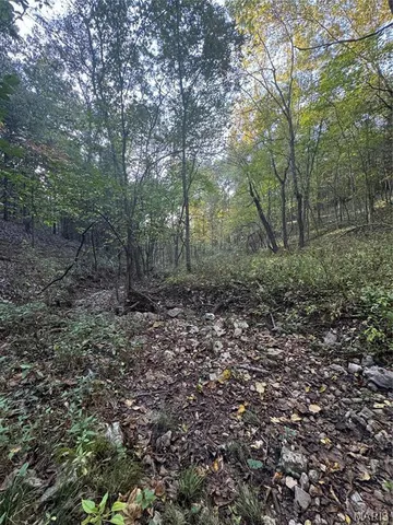 $616,000 | 0 Creek Road, Dixon, MO 65459