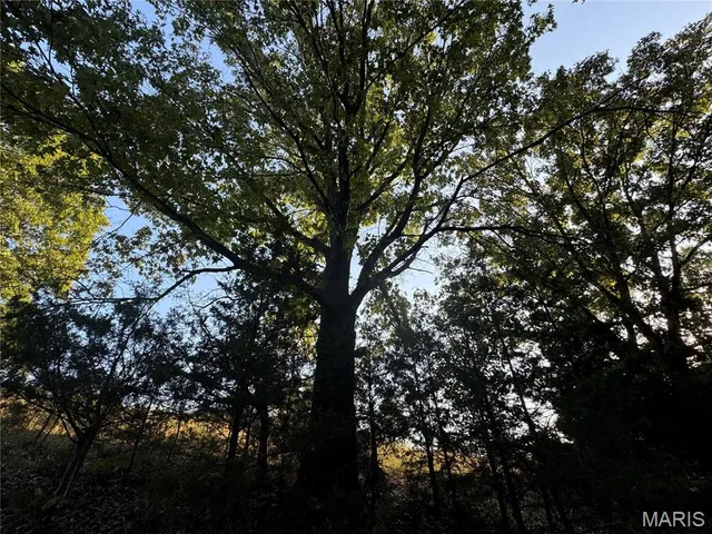 $616,000 | 0 Creek Road, Dixon, MO 65459