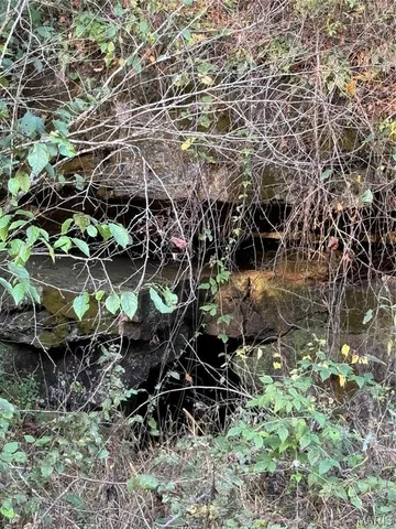 $616,000 | 0 Creek Road, Dixon, MO 65459