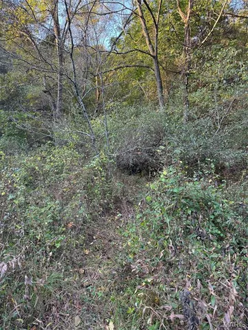 $616,000 | 0 Creek Road, Dixon, MO 65459