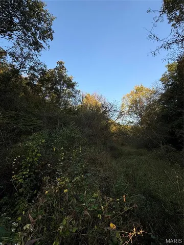 $616,000 | 0 Creek Road, Dixon, MO 65459