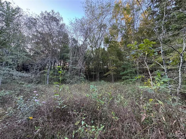 $616,000 | 0 Creek Road, Dixon, MO 65459