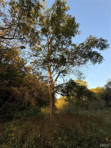 $616,000 | 0 Creek Road, Dixon, MO 65459