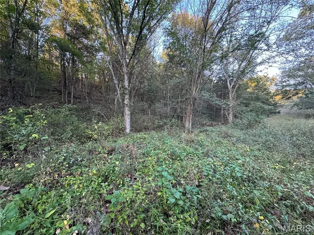 $616,000 | 0 Creek Road, Dixon, MO 65459