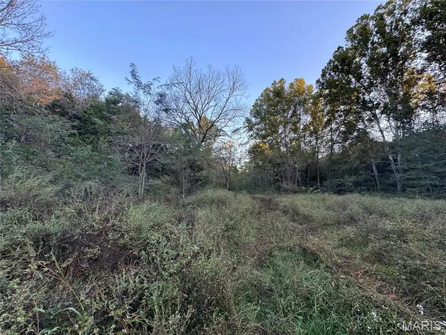 $616,000 | 0 Creek Road, Dixon, MO 65459