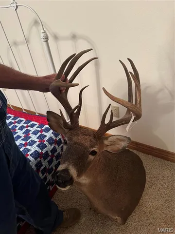 $616,000 | 0 Creek Road, Dixon, MO 65459