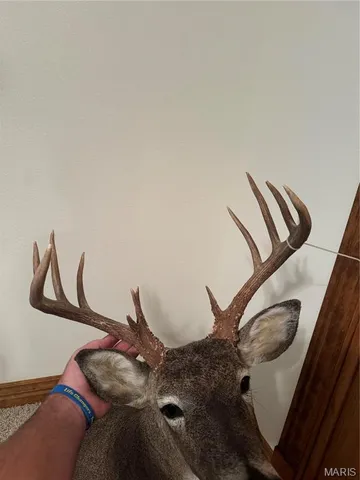 $616,000 | 0 Creek Road, Dixon, MO 65459