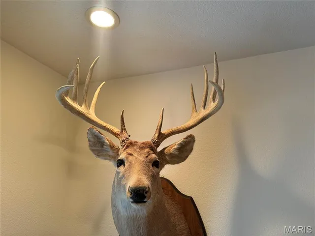 $616,000 | 0 Creek Road, Dixon, MO 65459