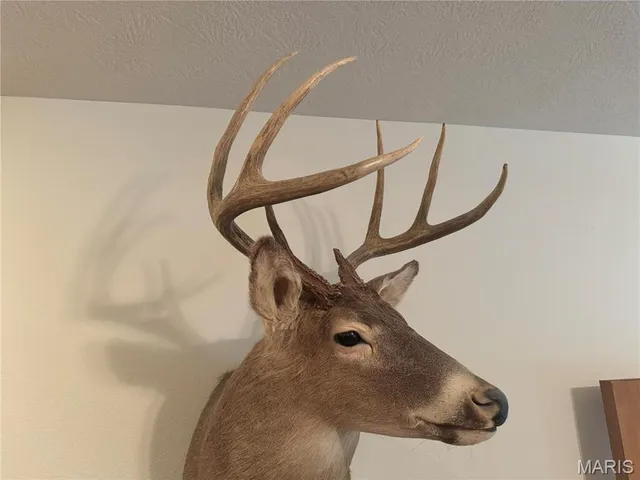 $616,000 | 0 Creek Road, Dixon, MO 65459