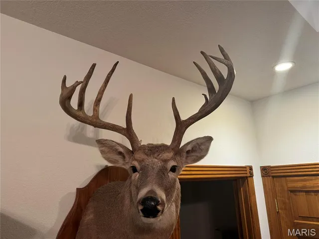 $616,000 | 0 Creek Road, Dixon, MO 65459