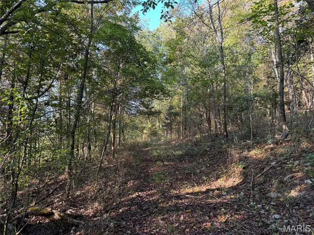 $616,000 | 0 Creek Road, Dixon, MO 65459