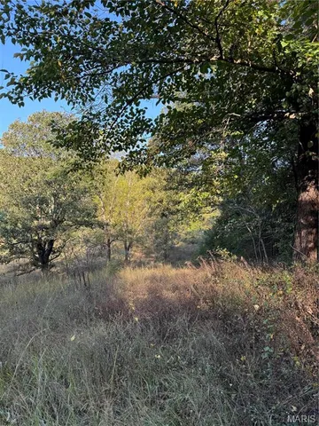 $616,000 | 0 Creek Road, Dixon, MO 65459