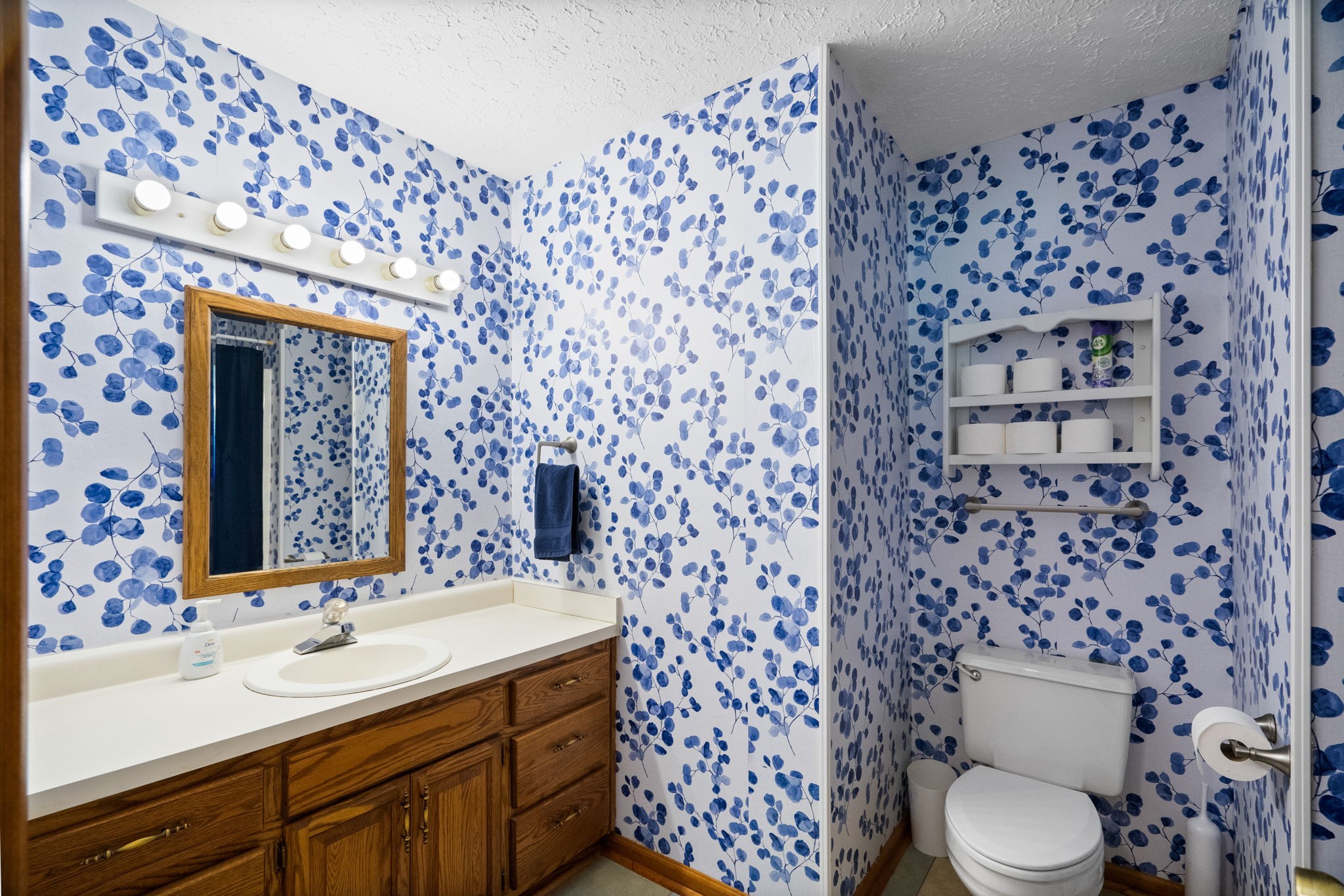 666 Lakeside Drive Springfield, TN 37172 - Photo 33 of 67 a bathroom with a sink toilet and shower