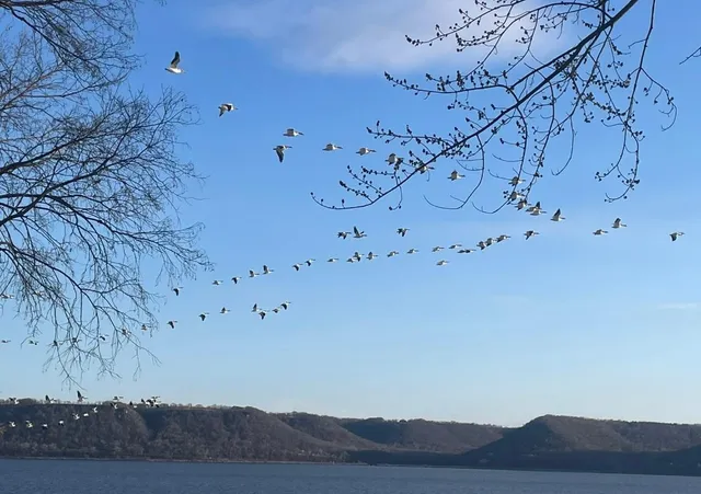 $545,900 | 1300 1st Street, Pepin, WI 54759