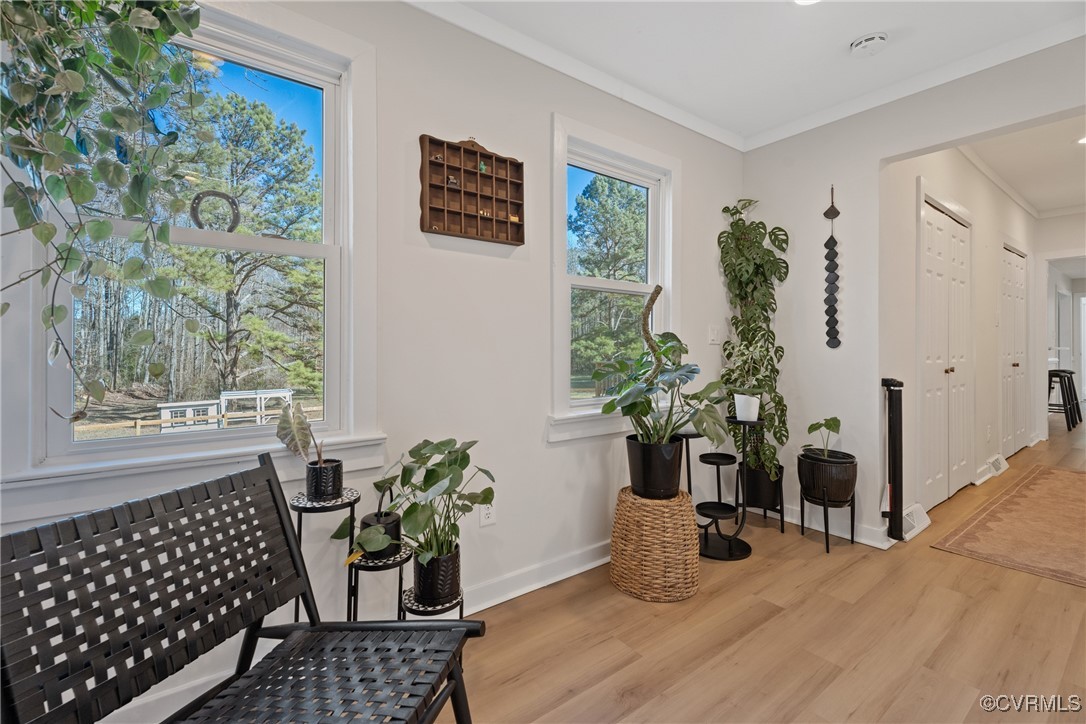12646 Old Ridge Road Beaverdam, VA 23015 - Photo 22 of 48 Sitting room featuring crown molding and light har