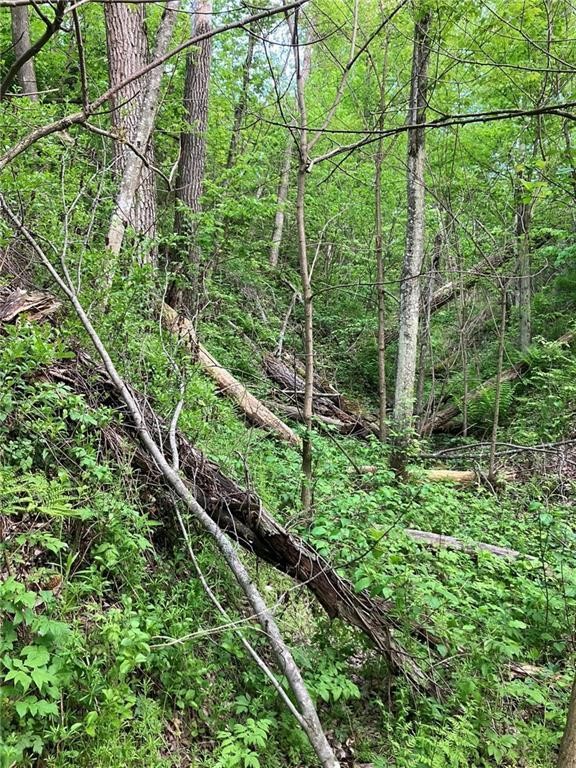 N3953-201 Bear Pen Road Arkansaw, WI 54721 - Photo 18 of 43