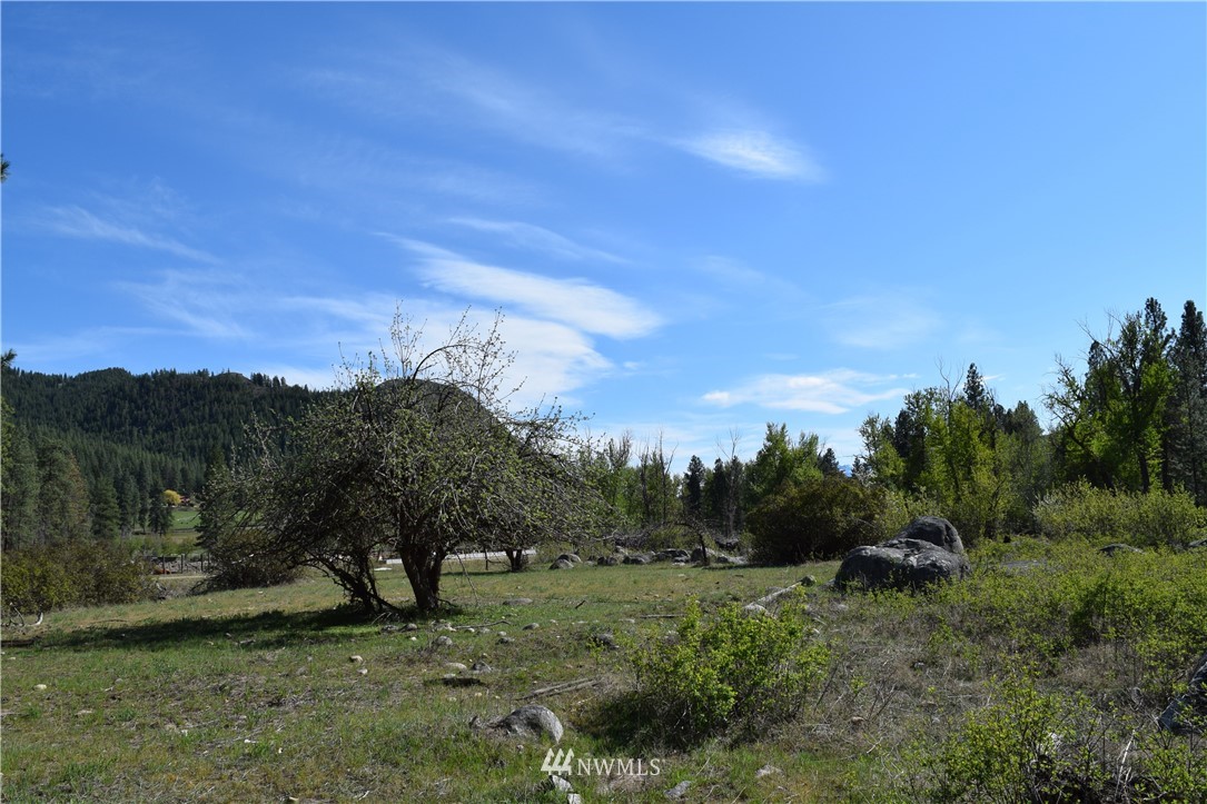 657 East Chewuch Road Winthrop, WA 98862 - Photo 11 of 14 Gallery Image 11