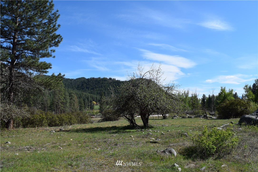 657 East Chewuch Road Winthrop, WA 98862 - Photo 10 of 14 Gallery Image 10