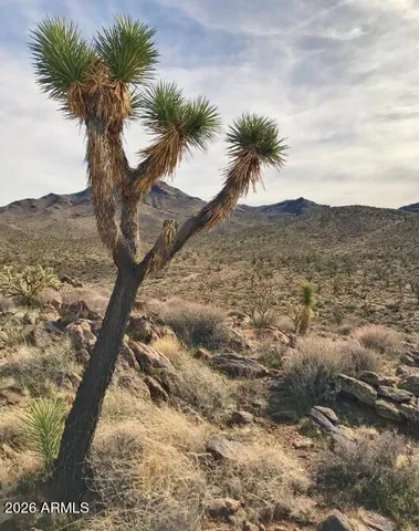 a view of a yard with mountain