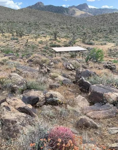 a view of a dry yard with green space and fog