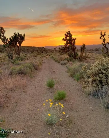 a view of a road with an ocean view