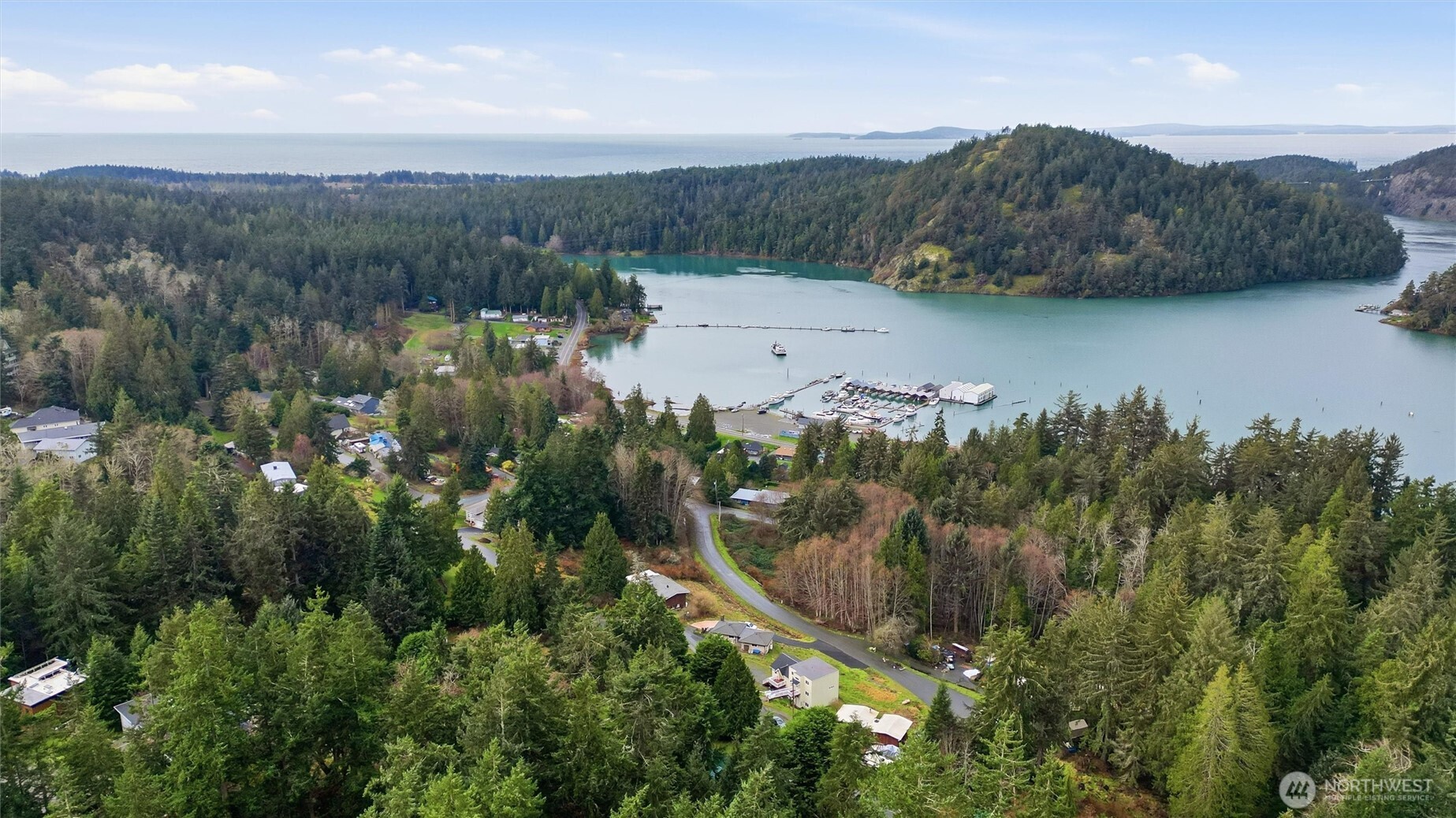 5184 Ridgeline Place Oak Harbor, WA 98277 - Photo 1 of 20 a view of a lake in middle of forest