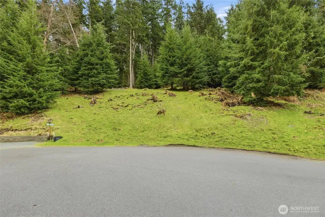 a view of a yard with an outdoor space