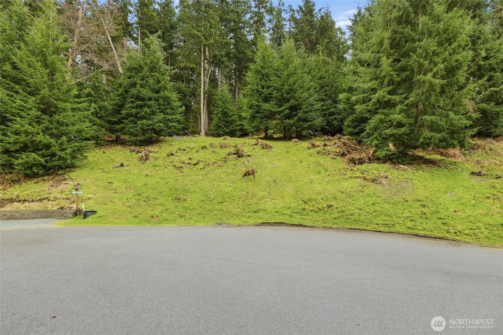5184 Ridgeline Place Oak Harbor, WA 98277 - Photo 11 of 20 a view of a yard with an outdoor space