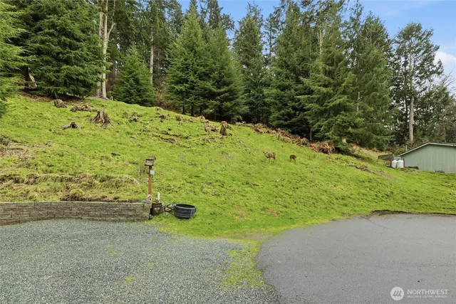 a view of a yard with plants