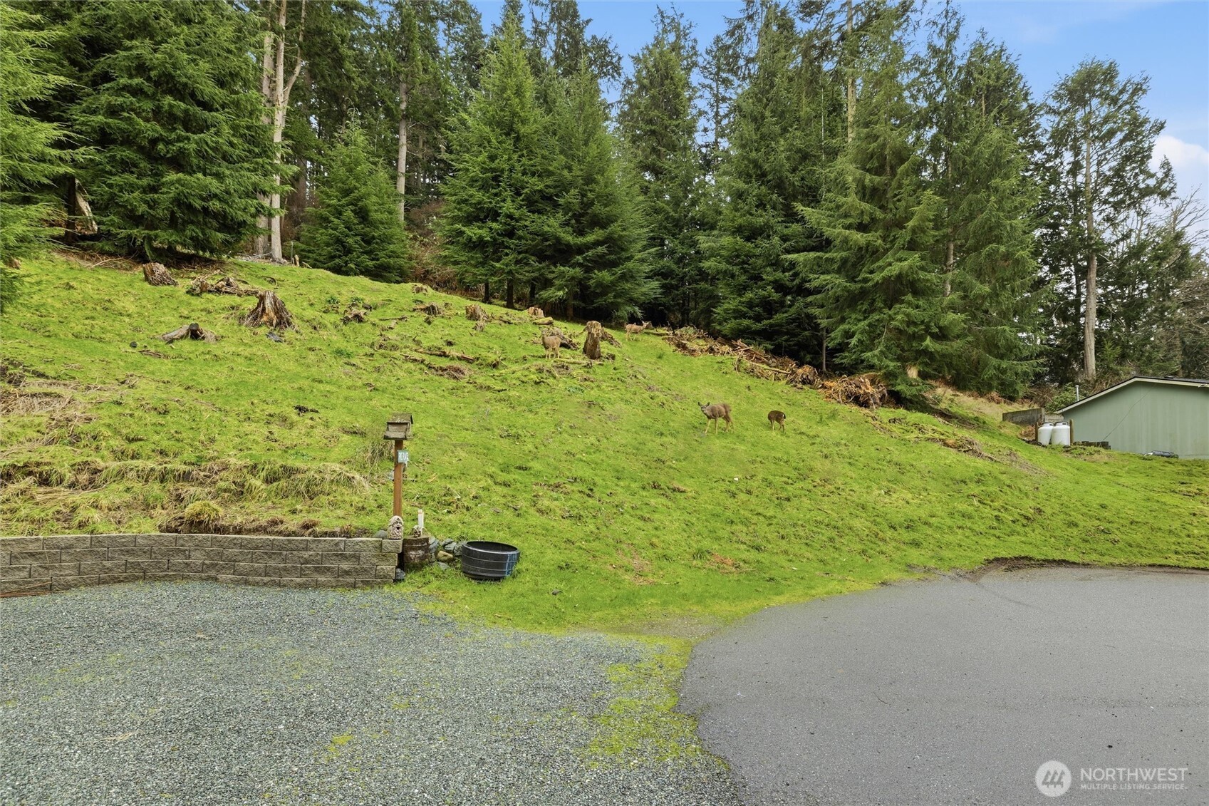 5184 Ridgeline Place Oak Harbor, WA 98277 - Photo 12 of 20 a view of a yard with plants