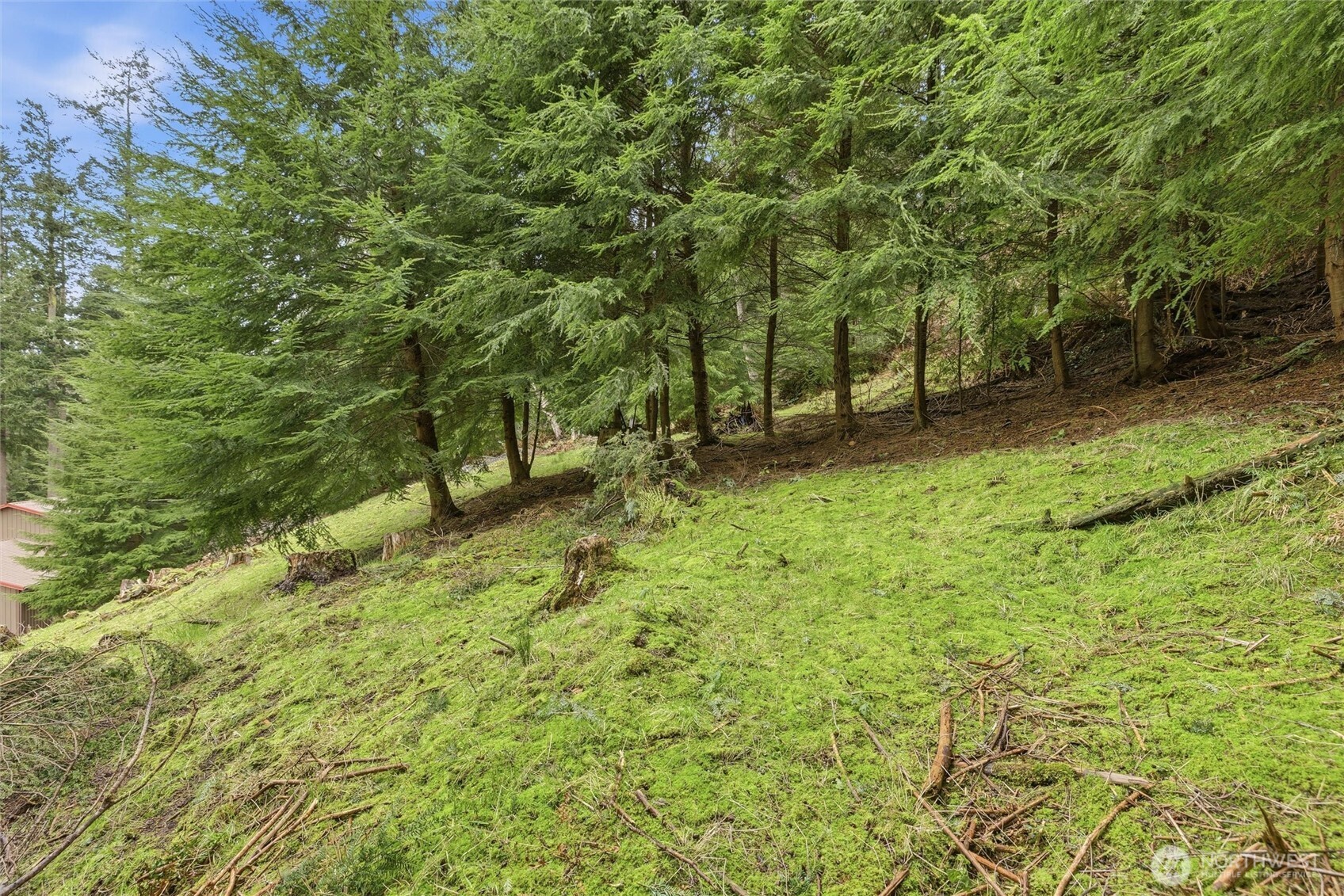 5184 Ridgeline Place Oak Harbor, WA 98277 - Photo 17 of 20 a backyard of a house with lots of plants and tree