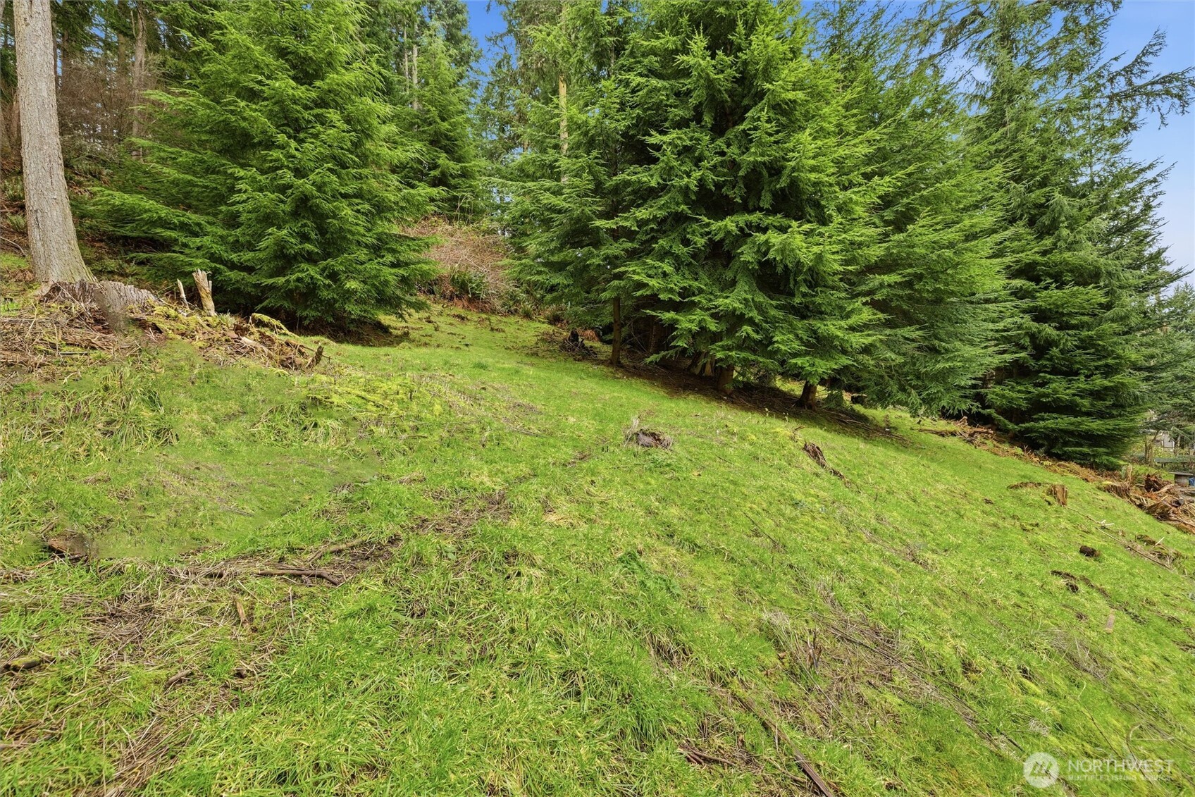 5184 Ridgeline Place Oak Harbor, WA 98277 - Photo 18 of 20 a view of a garden